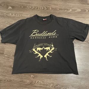 Vintage National Park Cropped Tee